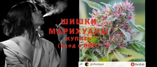 ГАЛЛЮЦИНОГЕННЫЕ ГРИБЫ Балахна